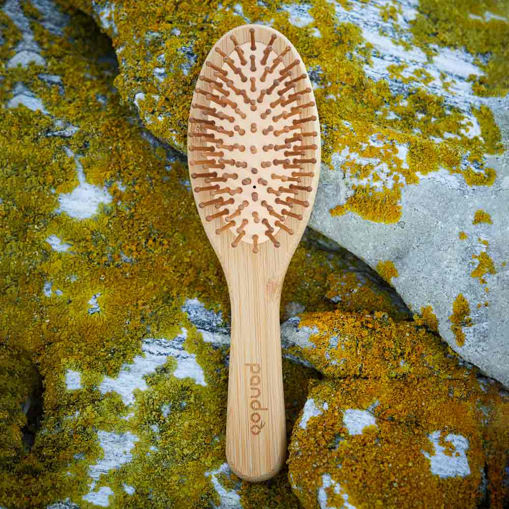 Bamboo hairbrush