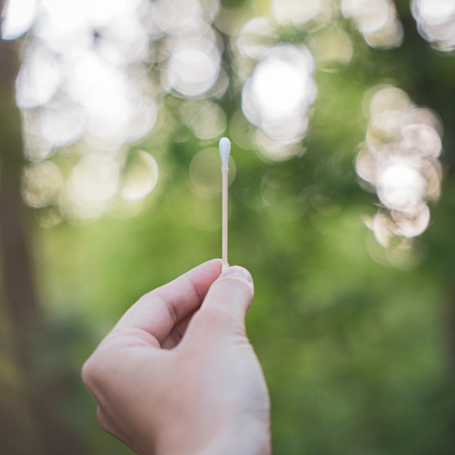 Bamboo cotton swabs (200 pieces)